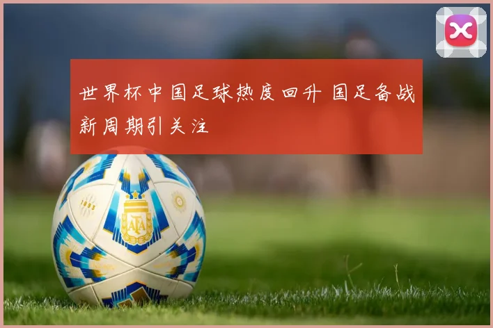 世界杯中国足球热度回升 国足备战新周期引关注