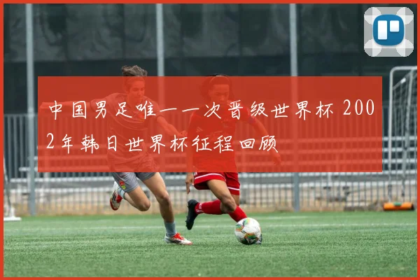 中国男足唯一一次晋级世界杯 2002年韩日世界杯征程回顾