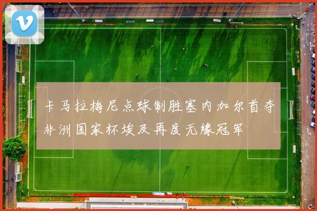 卡马拉梅尼点球制胜塞内加尔首夺非洲国家杯埃及再度无缘冠军