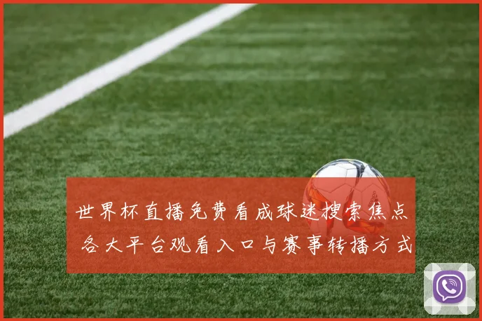世界杯直播免费看成球迷搜索焦点 各大平台观看入口与赛事转播方式受关注