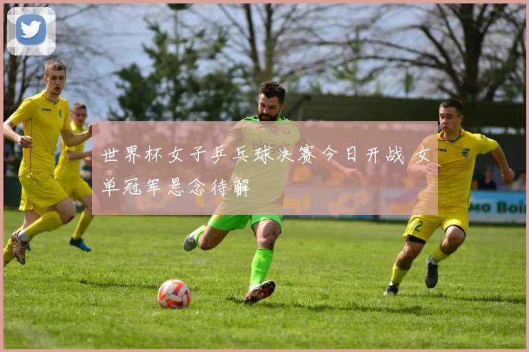 世界杯女子乒乓球决赛今日开战 女单冠军悬念待解