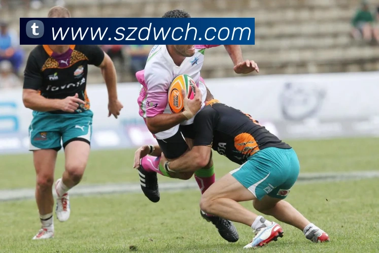 米乐网官网发展历程